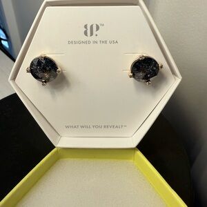 Black Ice Crystal Stud Earrings